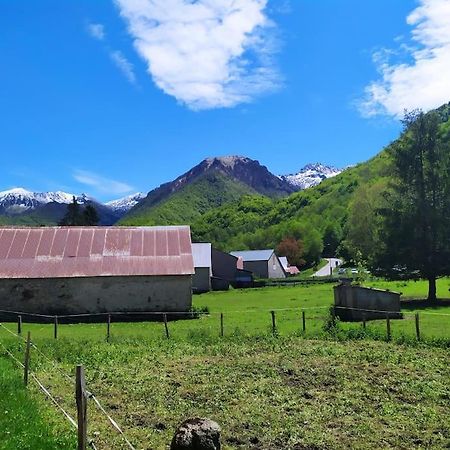 Sejour Cocooning Pour Se Ressourcer A La Montagne. Lejlighed Aulus-les-Bains Eksteriør billede